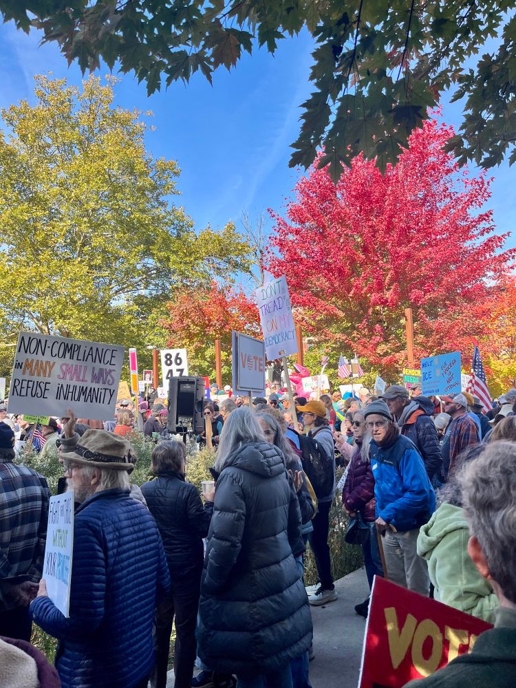 Protesters at the No Kings rally in Northampton, MA