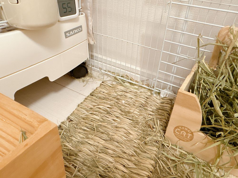 写真：ケージ前の様子。藁のマットと牧草フィーダーだけが写っている