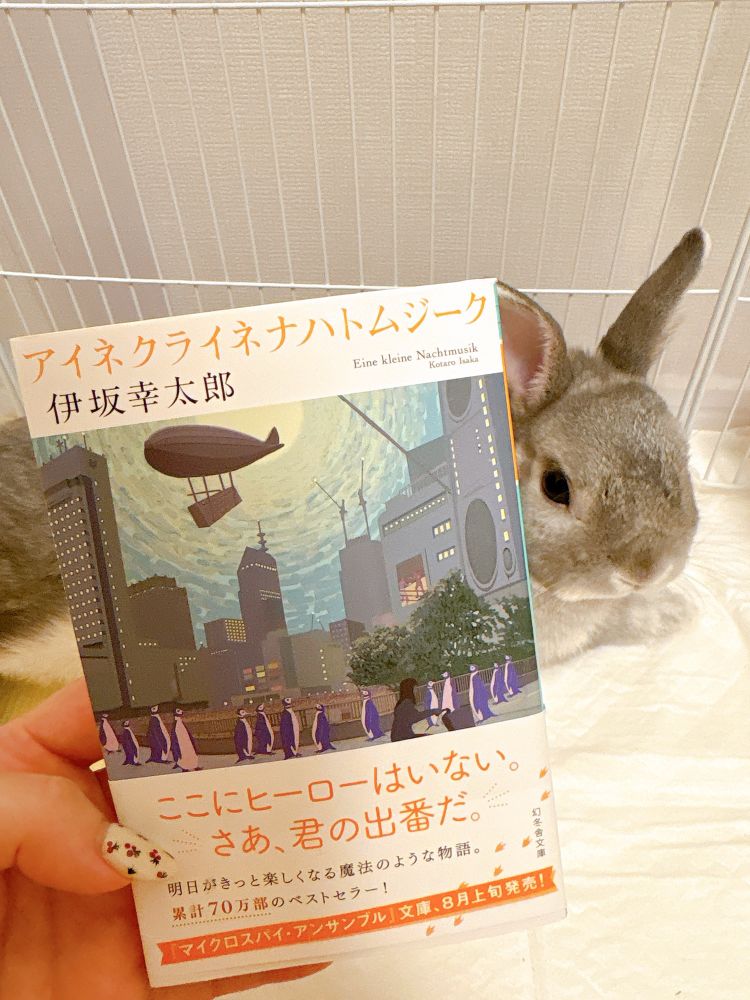 写真：伊坂幸太郎『アイネクライネナハトムジーク』の文庫本を手に持って写した写真。本の右側で、ペットシーツの上に座るうさぎがこちらを見ている。
