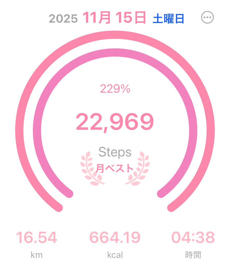 スクリーンショット：2025年11月15日（土）の歩数データ。22,969歩を達成し、月間ベストを更新。歩行距離は16.54km、消費カロリーは664kcal、歩行時間は4時間38分。円形のピンクのリングが229％達成を示している。