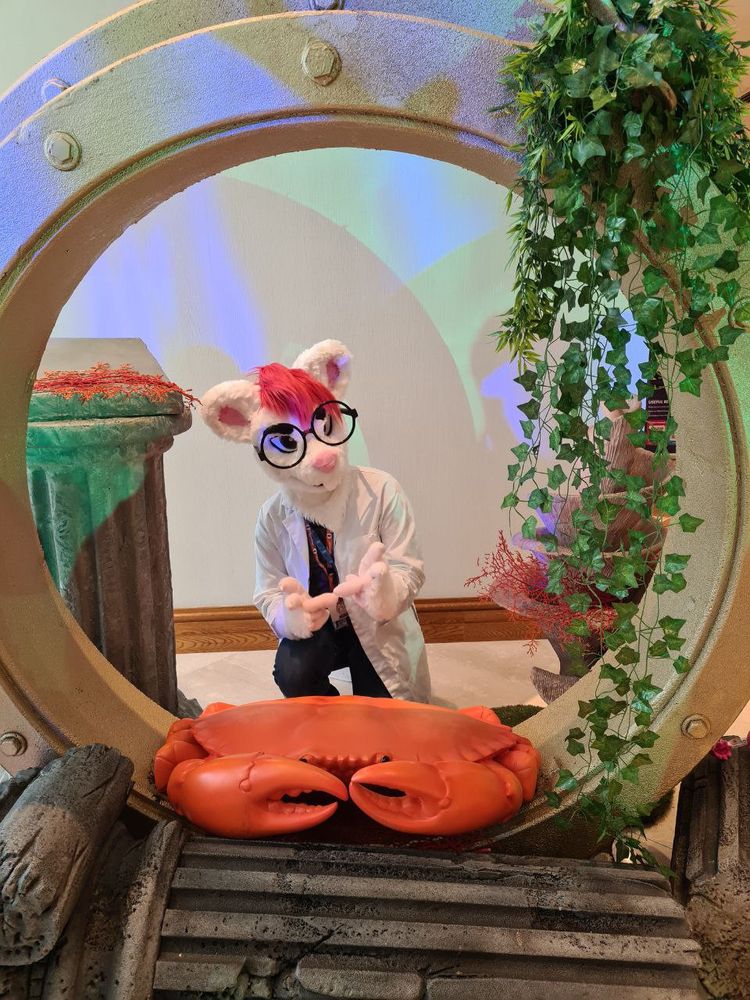 August the rat in a lab coat next to some underwater themed items