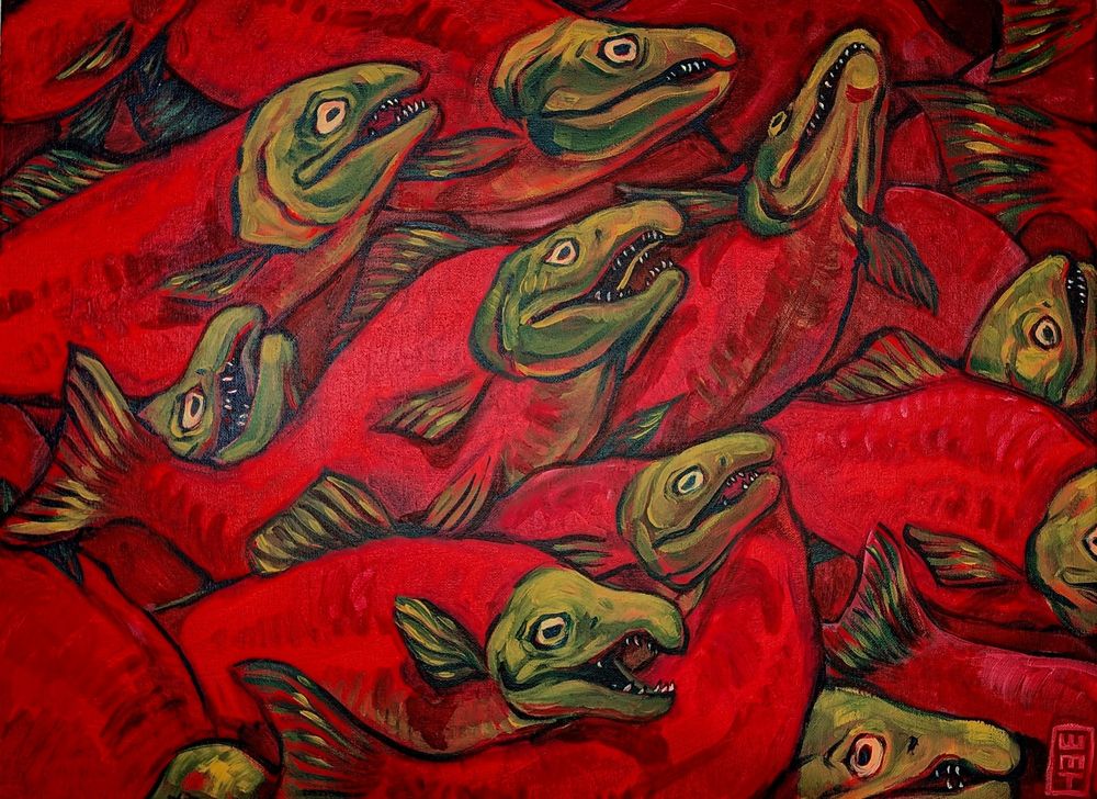 Painting of spawning sockeye salmon crammed together and looking distressed