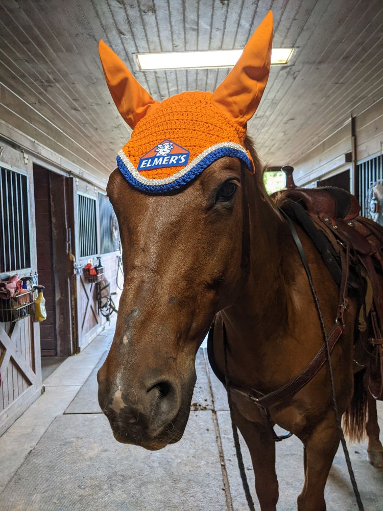 Chestnut horse in Western tack with an orange crochet fly bonnet that has the Elmer's glue logo on it