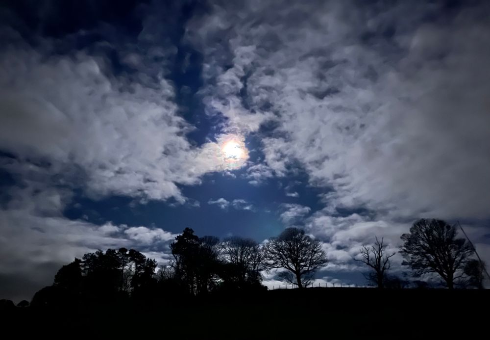 More than half moon obscured the broken clouds on a cold still night in DD6 with a line of trees.