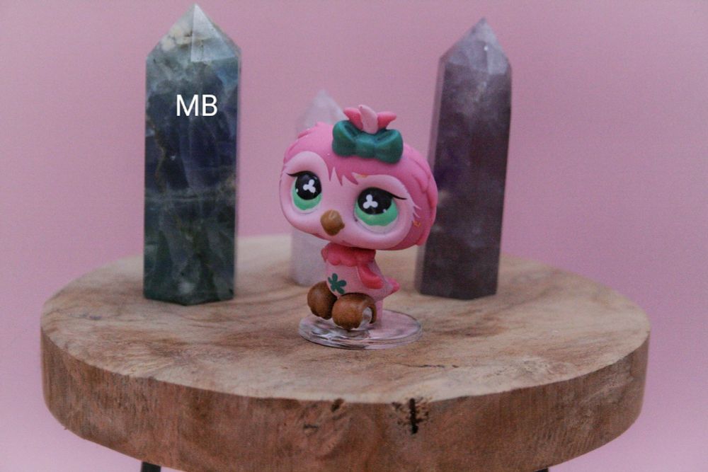 Exemple du petit socle transparent avec une chouette