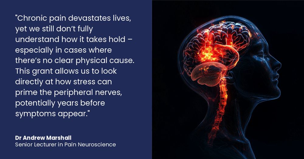 "Chronic pain devastates lives, yet we still don’t fully understand how it takes hold – especially in cases where there’s no clear physical cause. This grant allows us to look directly at how stress can prime the peripheral nerves, potentially years before symptoms appear." Dr Andrew Marshall, senior lecturer in pain neuroscience 