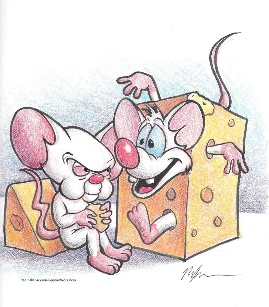 pinky and the brain. two white lab mice enjoying two blocks of cheese. Brain sits on one while munching on crumb, while Pinky sticks his body throughout the holes of another