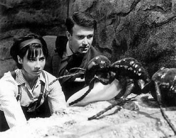 Susan and Ian encounter the corpse of a giant ant.