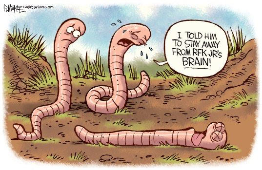 Cartoon.  Three worms.  One has clearly kicked the bucket.    “I told him to stay away from RFK Jr’s brain”  said one.

Source pic: https://www.dailyfreeman.com/wp-content/uploads/2024/05/DFN-L-rfkjr-brain-worm-01.jpg?w=537