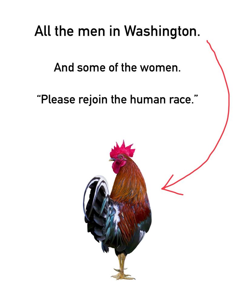 All the men in Washington.

Some of the women.

“Please rejoin the human race.”

Pictures a giant rooster with a red arrow pointing to it.