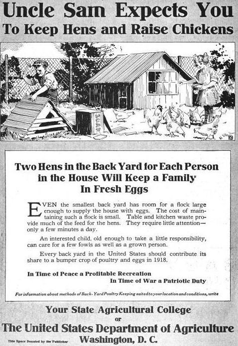 Two Hens in the Back Yard for Eqch Person in the House Will Keep a Family In Fresh Eggs.

Even the smallest back yard has room for a flock large enough to supply the house with eggs.  The cost of maintaining such a flock is small.  Table and kitchen waste provide much of the feed for the hens.  They require little attention— only a few minutes a day.  

An interested child (slave labor), old enough to take responsibility, can care for a few fowls as well as a grown person.  Every backyard in the United States should contribute its share to a bumper crop of poultry and eggs in 1918.

In time of peace a profitable recreation.  In time of war a patriotic duty.

Your state agricultural college or the United States Dep’t of Agriculture.  Washington D.C.