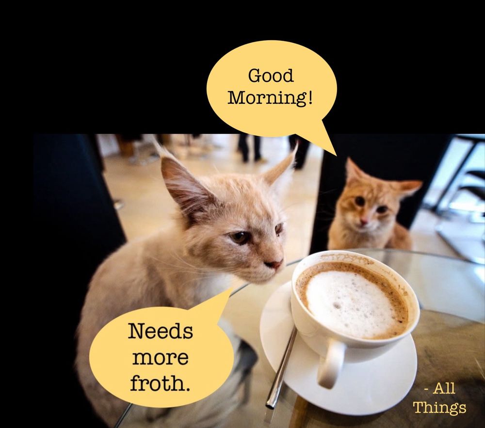 Two cats sitting at glass table at a cafe.  One cat looks at his cappuccino and says, “Needs more froth.”  While the other cat in the background says, “Good Morning!”