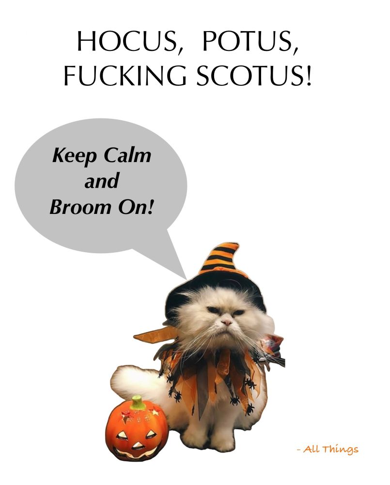 HOCUS, POTUS FUCKING SCOTUS!
A cranky cat dressed as a witch and sitting by a carved pumpkin  says, “Keep Calm and Broom On!”