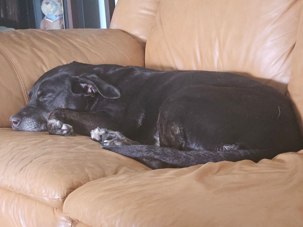 She kicks in her sleep