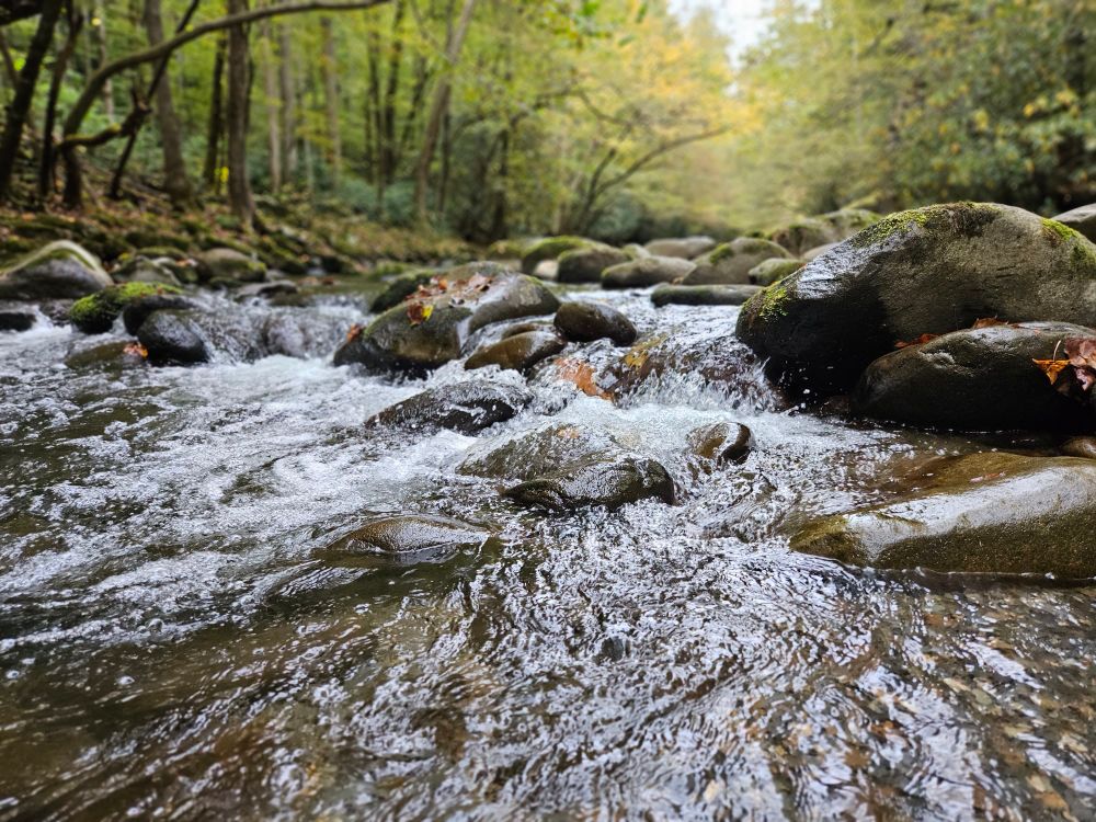 A tranquil autumn afternoon. The wind slowly going through your hair and the crunch of the autumn leaves. The brook quietly bubbles and churns. The air crisp and clean but the sun shines with a gentle warmth. The green of the trees blend and blur with the yellow and orange. Carefully stepping on the rocks out into the middle of the river. The water splashes up, the path slick, is tread with careful balance. But there is a large rock in the center of this clearing that you can stay at as the birds fly around and chirp in the distance. Immersed in the beauty of the nature and the world. Eyes close and there is nothing but soft footfalls, gentle heartbeats. The steady flow of the world around you as it keeps spinning, life endures. Grounded, alive, in this quiet moment. The anxiety and fears of life, the unknown future, the heartache of loss, all melt away before this moment of serene peace. Life lives in the moment, and once it's gone it will never come back. It can never be as once it was. But it is in the process of becoming something, as are all things. Only the future holds what these things will become, what beauty life has in store that is yet to be seen. It must be observed to be made real. Life must endure, no matter how hard, to see the beauty that is to come. Precious and fragile, a spark of a flame on the cusp of being snuffed out. Protect it, nurture it, and live. The sun will set, darkness will come, and light will leave us. But it will only do so for a time. There will be a dawn, the sun will rise, hope will shine, and life endures. It is beautiful, so stay here and witness it. Open eyes to the beauty of the world, let love fill the heart. Breathe. In and out. Breathe, and live. If you got this far, I'm happy that you're hear. You are loved, so please stay here. It can be difficult to see the light at the end of the tunnel, to feel the love in your soul. But you made it this far, you're still here. Keep going, I believe in you. One step at a time.