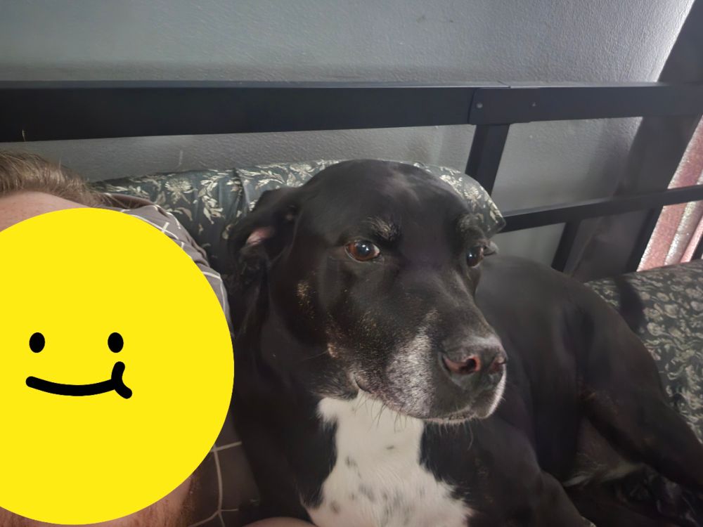 Midna, professional whiny baby