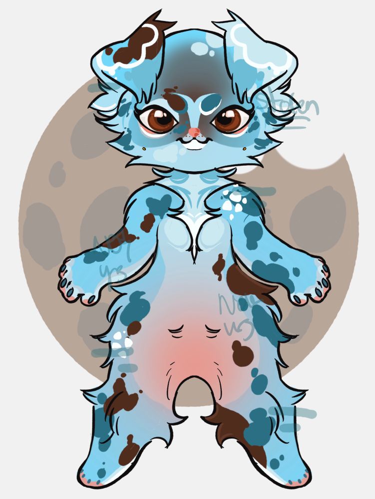 Cookie Monster shepherd 
