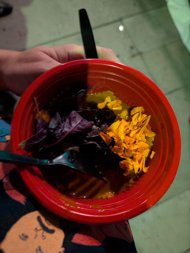 Duck Confit Ravioli: Duck Nduja, guajillo persimmon curry, pomegranate matcha, and marigolds.