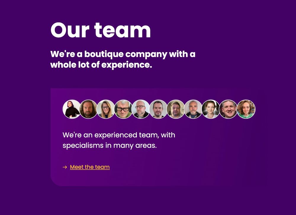 Our Team. A screenshot from the TetraLogical website with the text "We're a boutique company with a whole lot of experience" above a row of headshots of the team. Below the photos, it says "We're an experienced team, with specialisms in many areas"