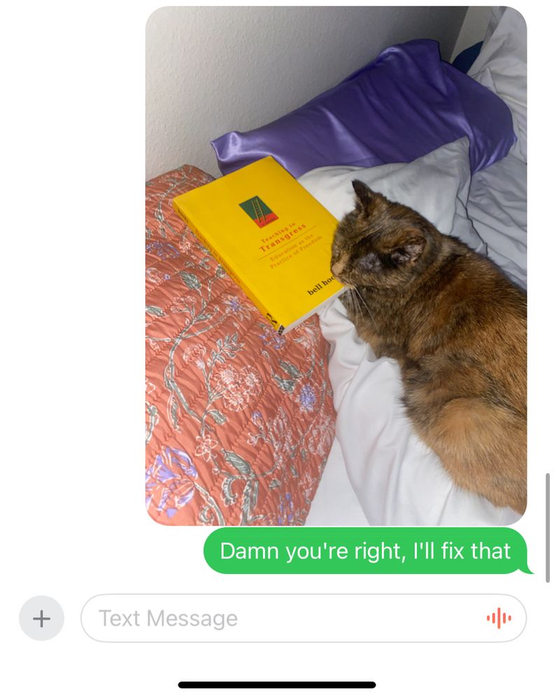 A screenshot of the response to the previous text that says “Damn you’re right, I’ll fix that” and a picture of the same tortie cat still on the human bed, now pictured next to a copy of “Teaching To Transgress” by bell hooks. 