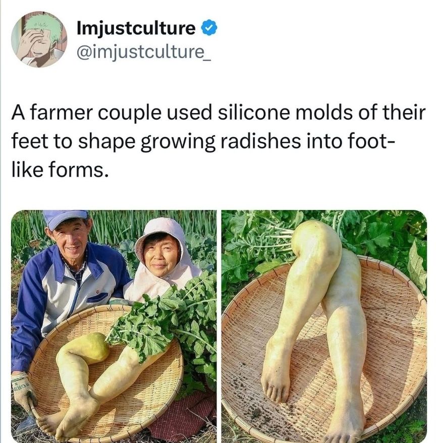 Screenshot of post about a farmer couple that used silicone molds of their feet to shape growing radishes into foot like forms