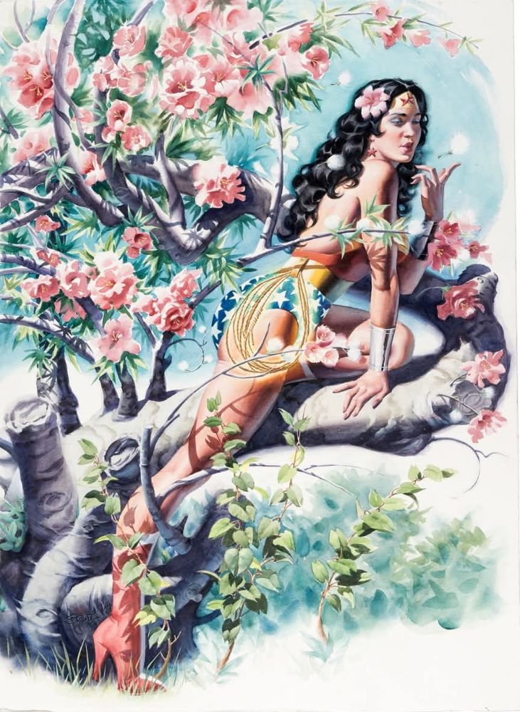 Gorgeous painted illustration of Wonder Woman by the rude dude. 
