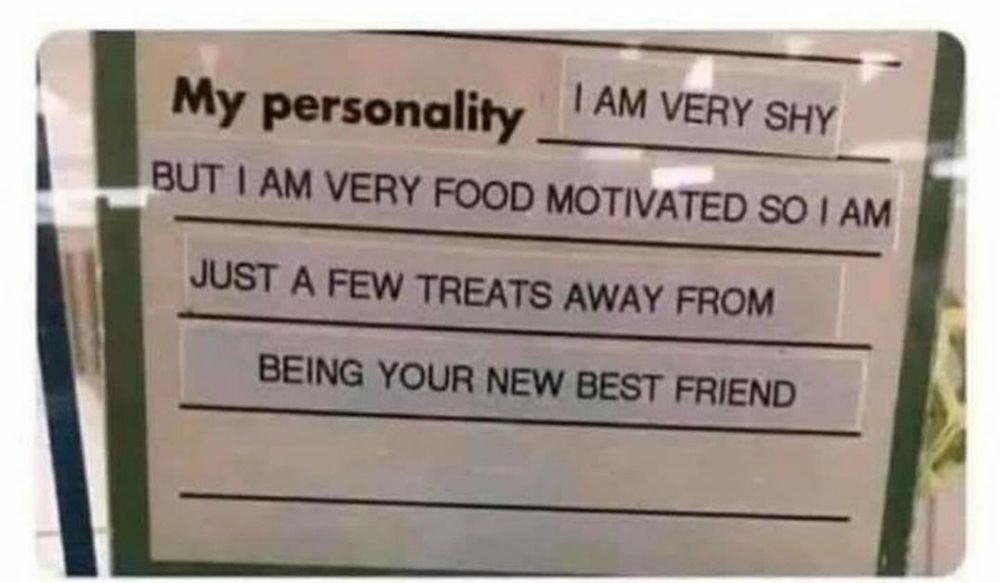 My personality 
I am very shy but I am very food motivated so I am just a few treats away from being your new best friend.