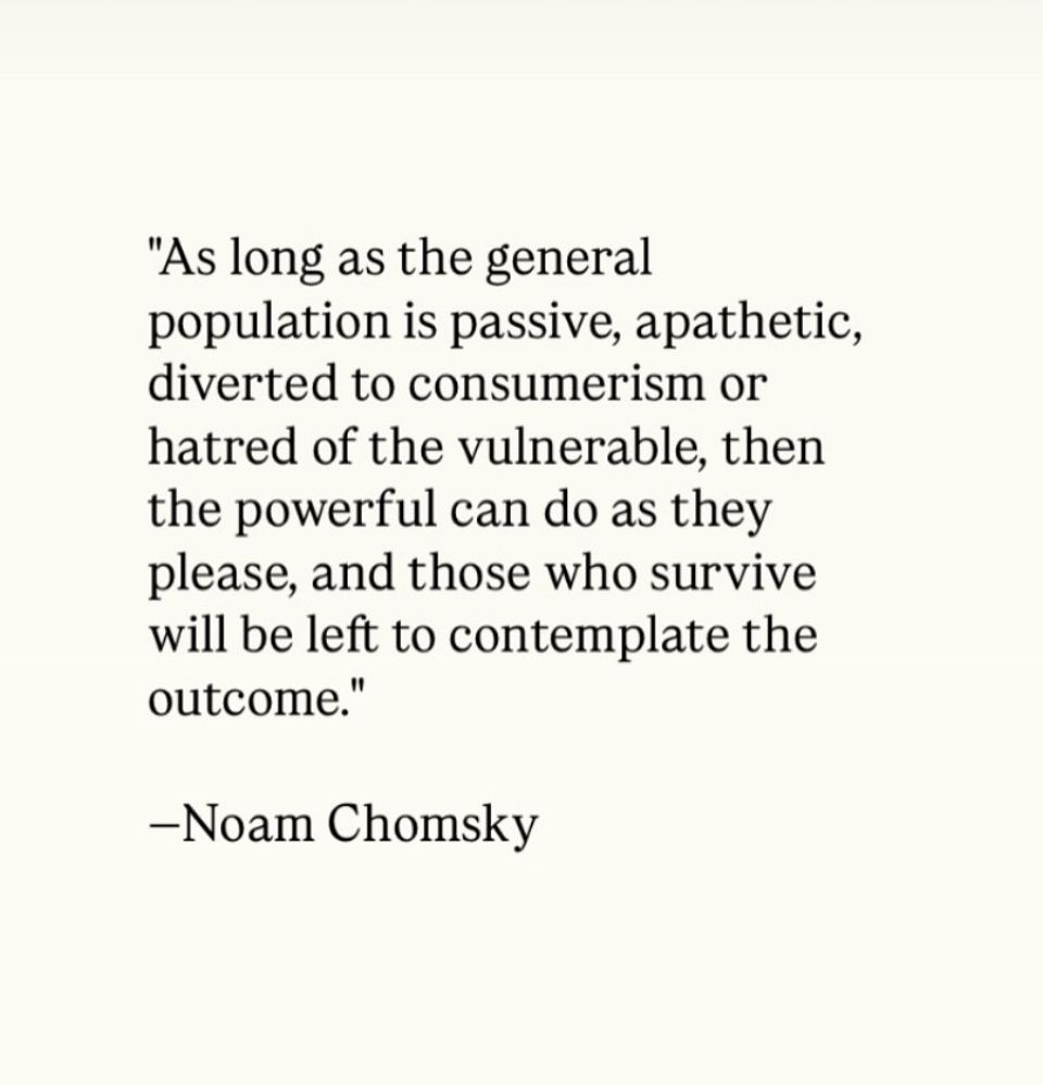 “As long as the general population is passive, apathetic, diverted to consumerism or hatred of the vulnerable, then the powerful can do as they please, and those who survive will be left to contemplate the outcome.” - Noam Chomsky 