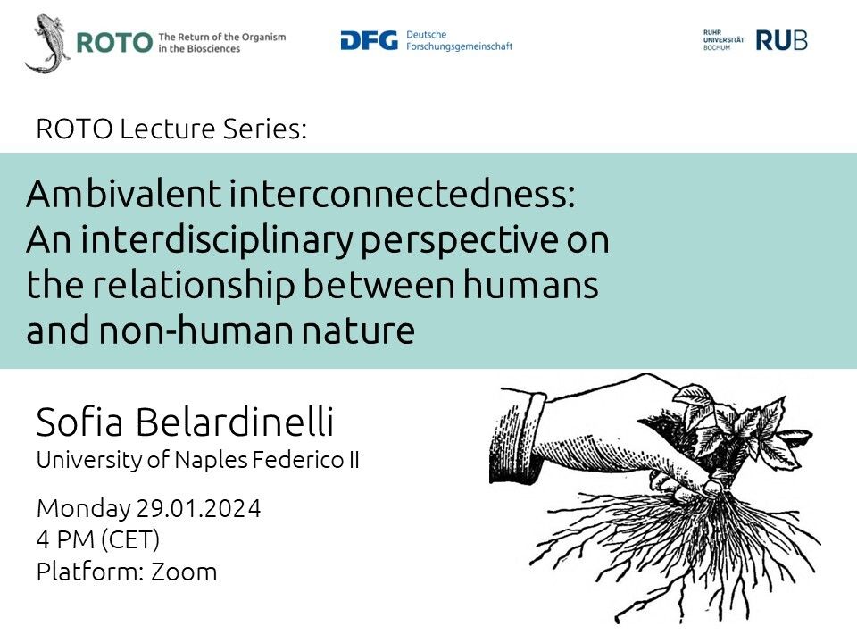 Poster for the talk by Sofia Belardinelli (University of Naples Federico II) on 29 January at 4 PM (CET). The talk will be held via Zoom.