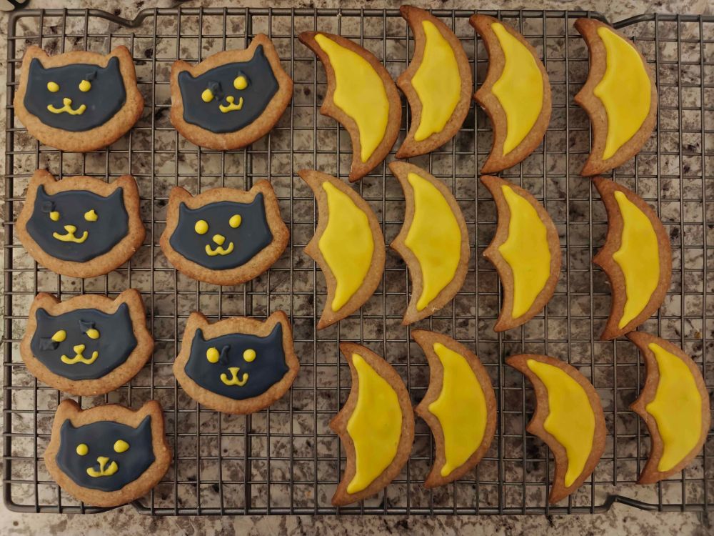 iced cat and moon sugar cookies
