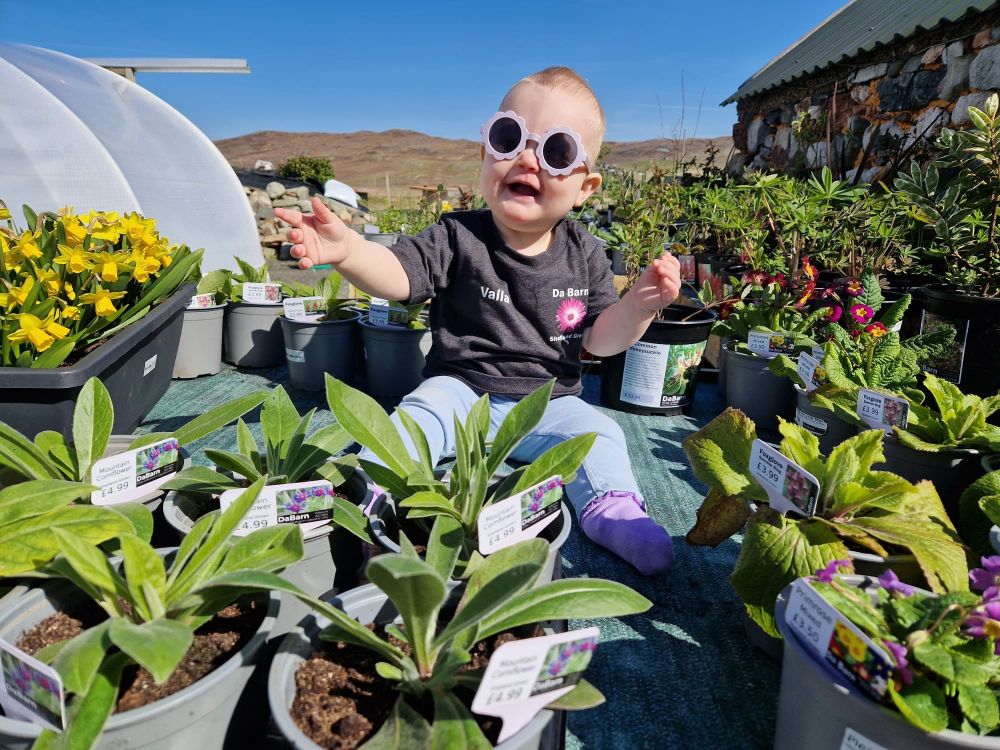 Vaila wearing cool shades, sitting in the sunshine amongst a collection of Shetland grown plants.