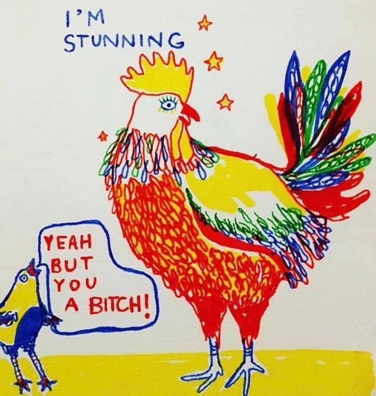 a very colorful chicken/rooster saying I'M STUNNING and a teeny little bird next to him saying 'yeah but you a bitch'