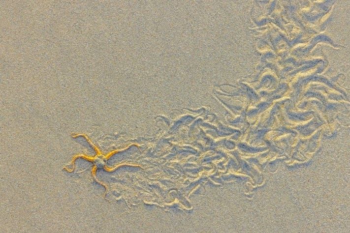 a s a star headed through sand leaving tracks