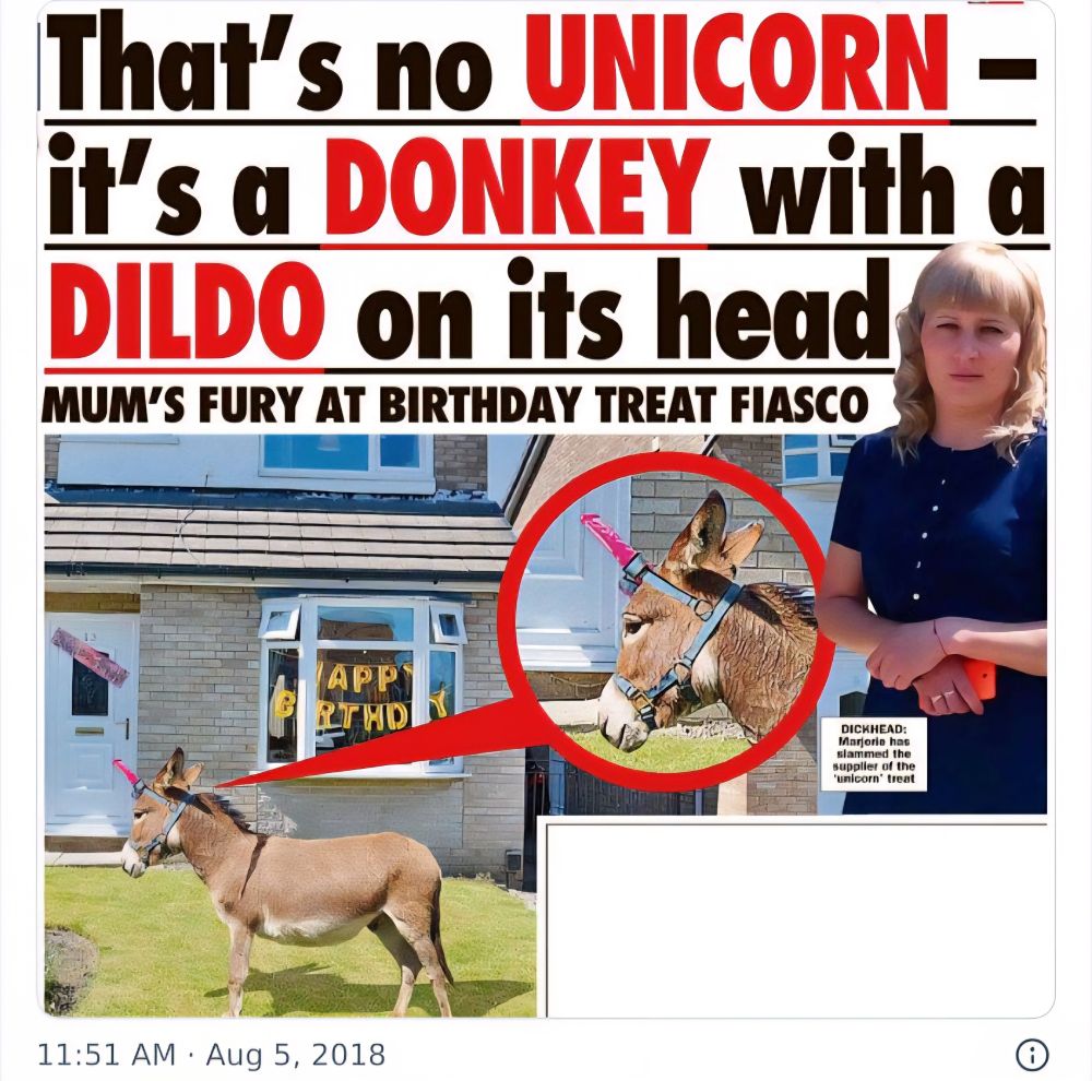 a headline reading "that's no unicorn -it's a donkey with a dildo on its head" and "mum's fury at birthday treat fiasco"