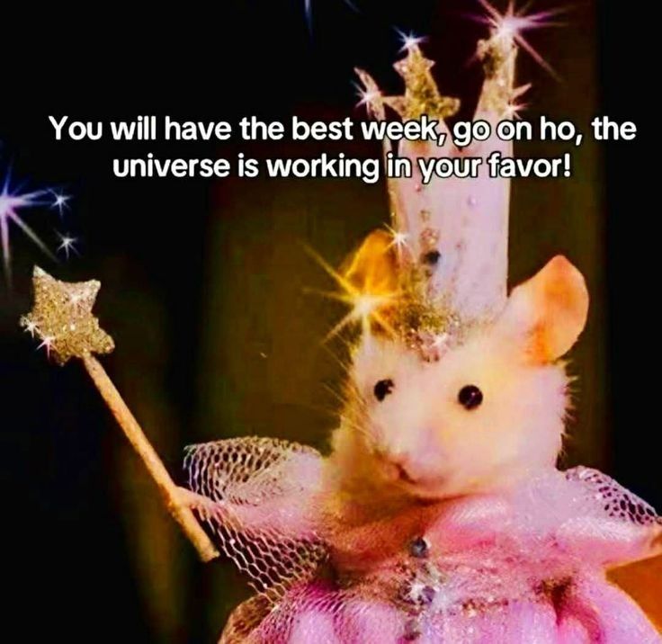 a tiny mouse with a crown, jewels, dress and magic wand saying, you will have the best week, go on ho, the universe is working in your favor!
