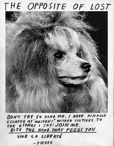 a sign for a missing poodle saying "the opposite of lost" "don't try to find me. I have finally escaped my "master's "wicked clutches.to the others I say: join me. BITE THE HAND THAT FEEDS YOU.vive la liberté." -pierre