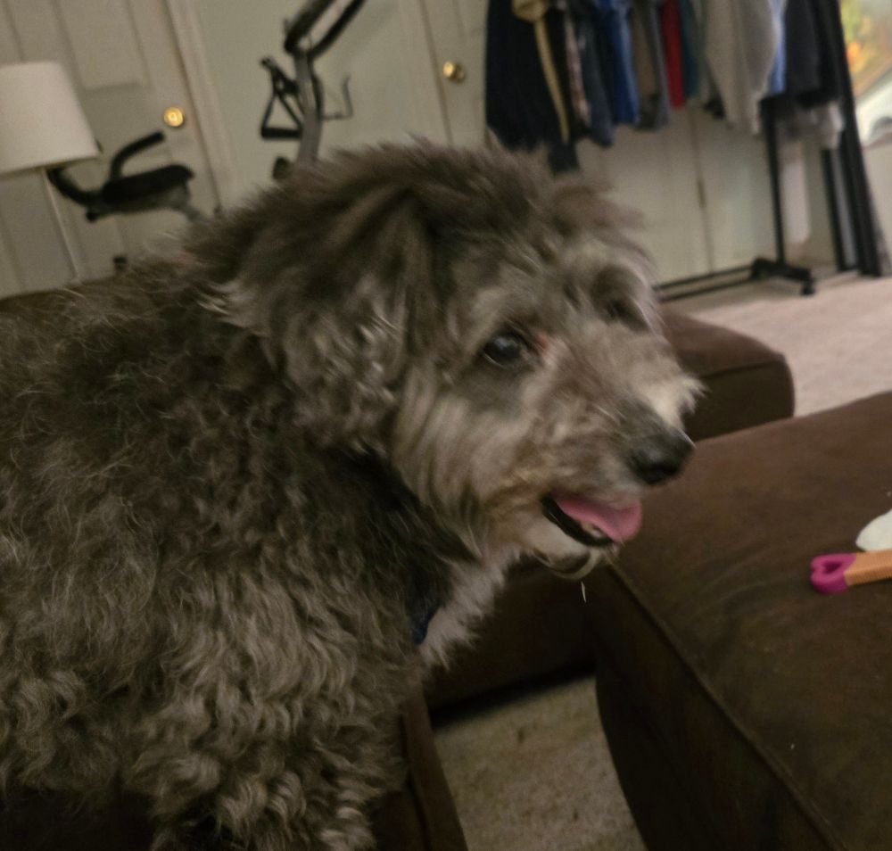 Sammy 