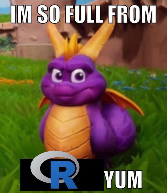 image of dragon with text “im so full from [R statistics software log] yum”