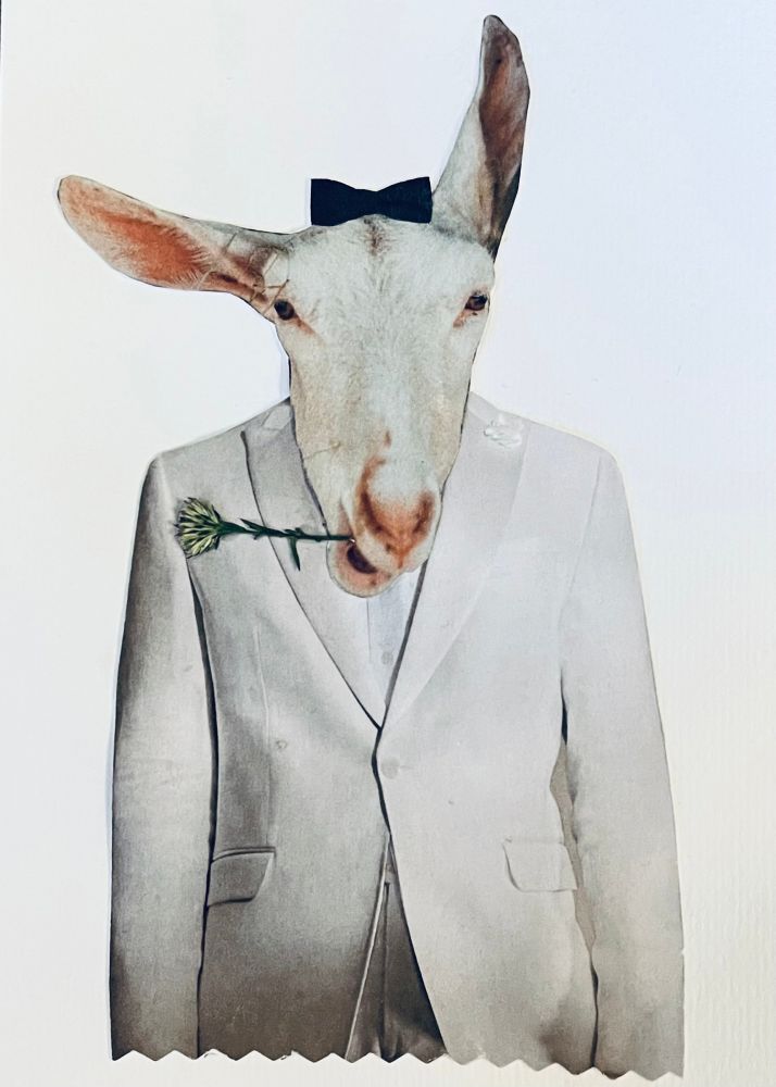 A paper collage, a goat in a white wedding suit. Black tie but the tie on the goats head. One ear goes up, one to the side, mouth a bit opened. A dried glover flower is glued to the paper so it looks as if the goat is smoking it