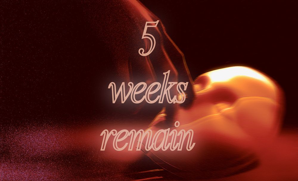 DESC: 
A graphic for jayvik bdsm week count down. The background is a still from the second season's opening, where a hand is picking up a mask. It's edited to be an orange gradient. There is text on it.

TEXT: 5 weeks remain