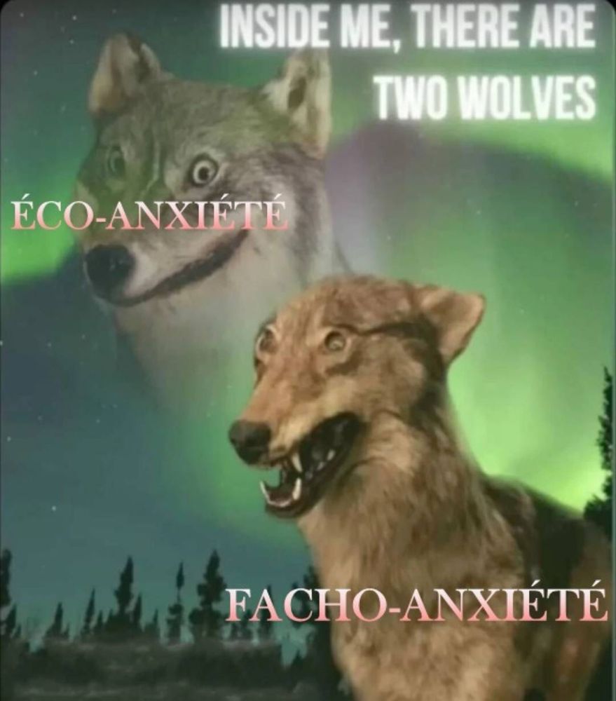 Meme :
Photo kitsch façon « loup hurlant » à la lune des red necks américains avec deux loups mal empaillés à l’air effrayé/ ahuri
Texte:
Inside me, there are two wolves
Eco-anxiété
Facho-anxiété
