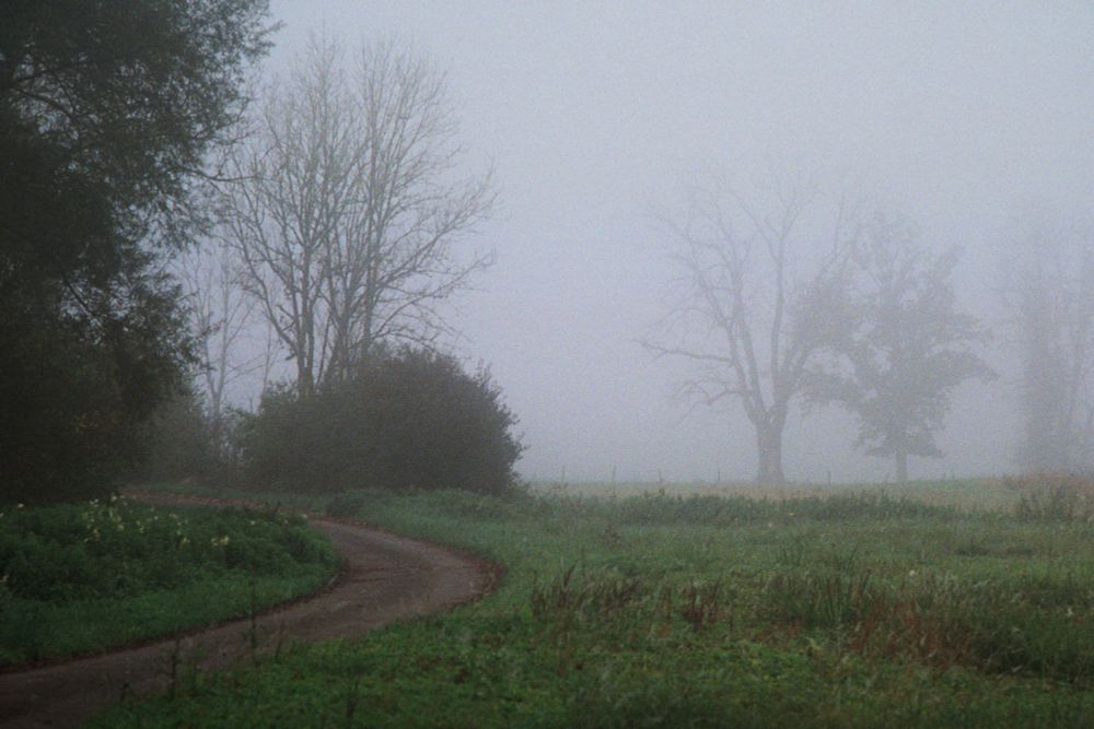 Dans la campagne. On voit un chemin qui serpente sur la gauche, et des arbres qui se découpent sur la brume à droite.