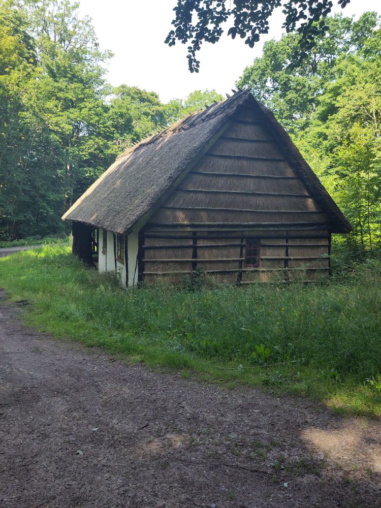 An old house in the woods in Denmark surrounded by a forest 