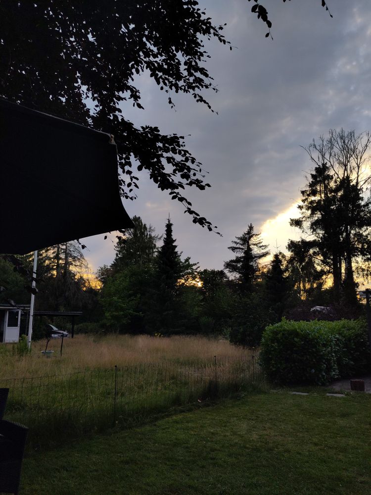 Sunset in my garden. Grass close up is mowed, grass in the rest of the garden is growing wild. Clouds in the sky while the sun is setting 