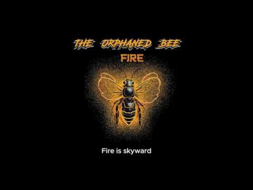The Orphaned Bee - Fire (Lyric Video)