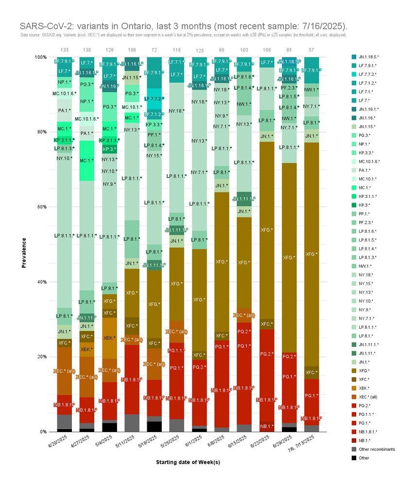 Of the samples collected in Ontario on these weeks, the prevalence of each of these significant variants/lineages are as follows:

- 7/6 - 7/16 -
• NB.1.8.1 (incl. PQ.1): 12.3%
• XFG.*: 59.7%
• LP.8.1.* (incl. LP.8.1.1.*, NW.1, PF.2.3): 12.3%
→ LP.8.1.1.* (only NY.7.1 counted) †: 5.3%

† 1 LP.8.1.1 sample counted as LP.8.1.*

- 6/29 - 7/5 -
• NB.1.8.1 (incl. PQ.1, ".2): 18.8%
• XFG.*: 50.6%
• LP.8.1.* (incl. LP.8.1.1.*, ".8.1.4, ".8.1.5, NW.1.*, PF.2.3): 21.2%
→ LP.8.1.1.* (incl. NY.3, ".7.*, ".9, '.10): 10.6%

X.X.* in text = X.X & descendants.

X.X.* in graph = all descendants of X.X, except for ones with own segment of week’s bar.