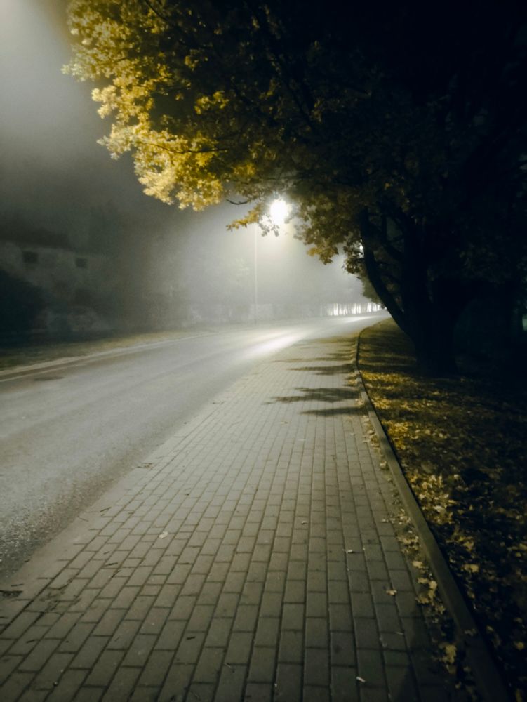 A picture of a road, pavement and a three in foggy atmosphere