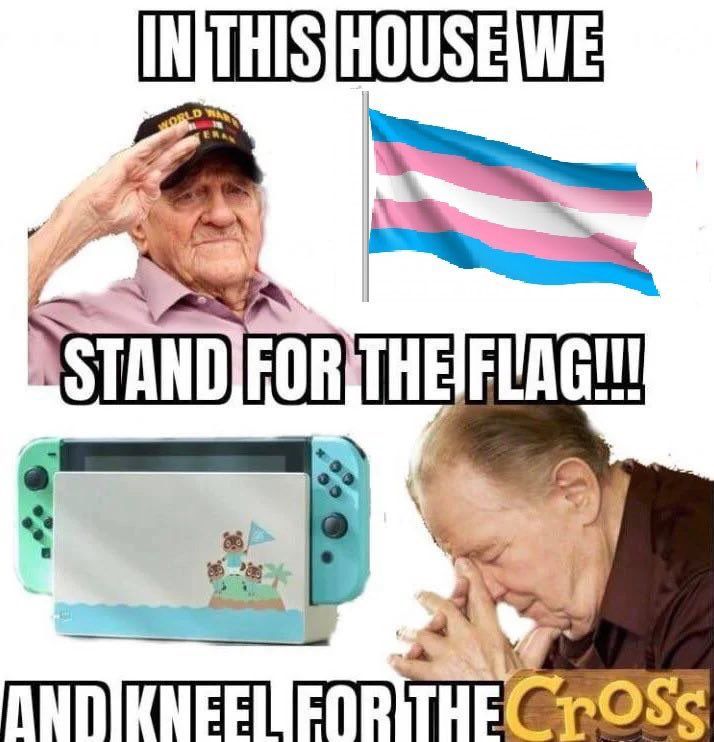 A meme declaring “in this house we stand for the flag and kneel for the cross” with a trans flag and an animal crossing switch 