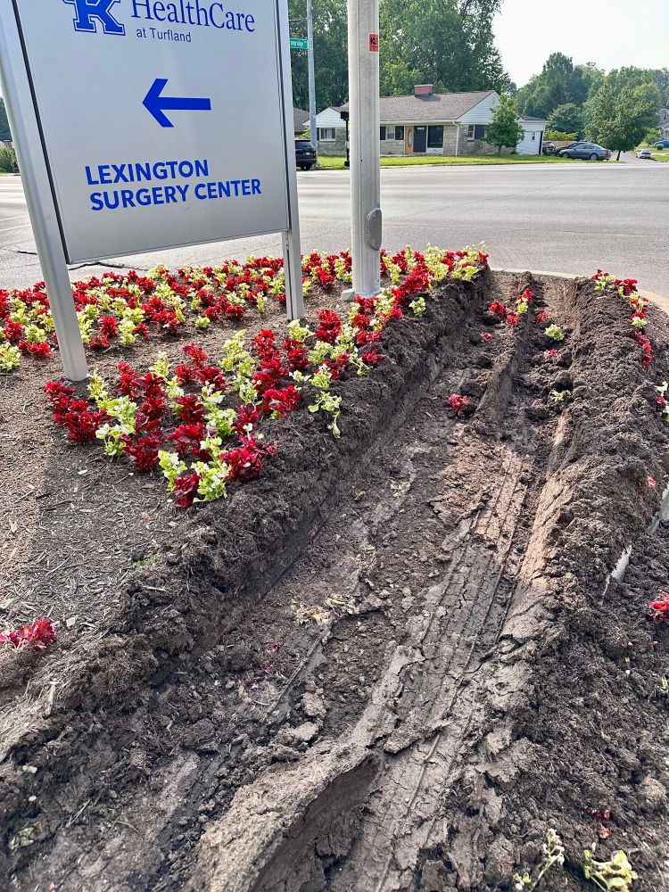 A photo of a curb “island” at the entrance/exit to a medical clinic. There are pretty flowers planted, but also a huge tire imprint from what was likely a big truck. The tire went through a row of the flowers. It felt symbolic/metaphorical to me. 