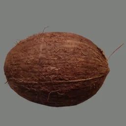 The allusive tf2 coconut of doom